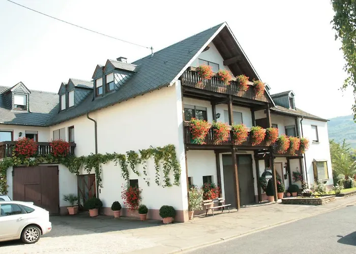 Gasthof Weingut***pension Günther Scholtes 3*
